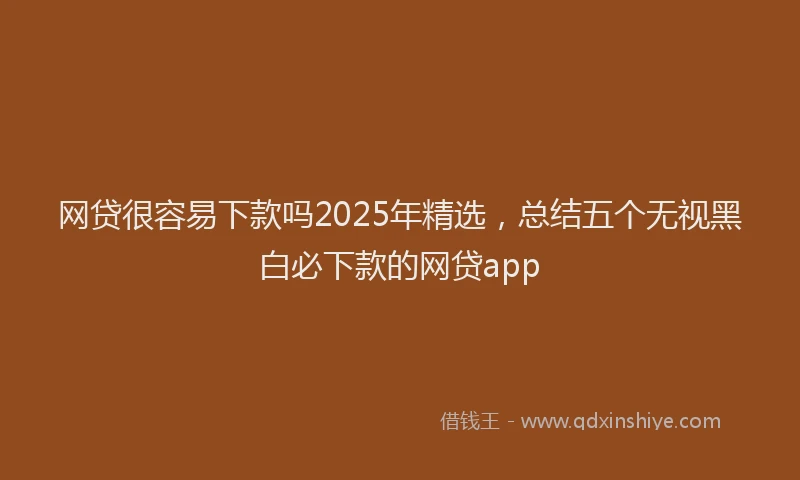 网贷很容易下款吗2025年精选，总结五个无视黑白必下款的网贷app