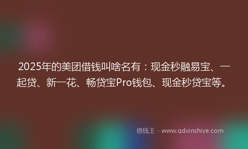 2025年的美团借钱叫啥名有：现金秒融易宝、一起贷、新一花、畅贷宝Pro钱包、现金秒贷宝等。