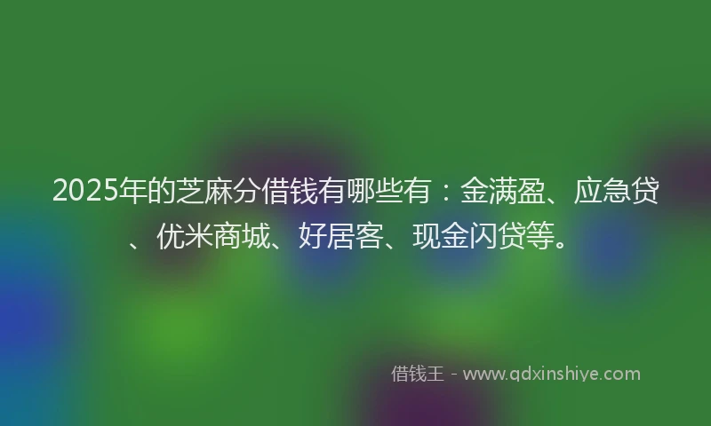 2025年的芝麻分借钱有哪些有：金满盈、应急贷、优米商城、好居客、现金闪贷等。