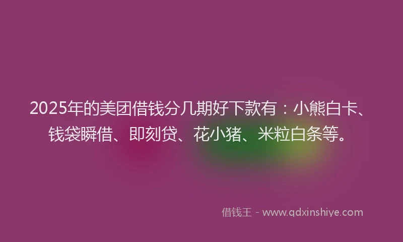2025年的美团借钱分几期好下款有：小熊白卡、钱袋瞬借、即刻贷、花小猪、米粒白条等。