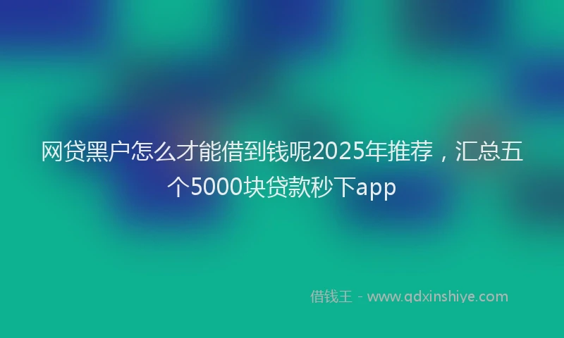 网贷黑户怎么才能借到钱呢2025年推荐，汇总五个5000块贷款秒下app
