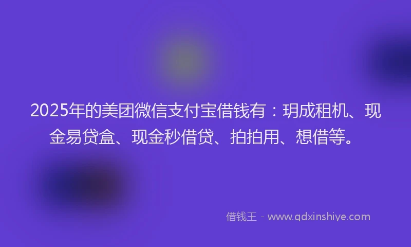 2025年的美团微信支付宝借钱有：玥成租机、现金易贷盒、现金秒借贷、拍拍用、想借等。