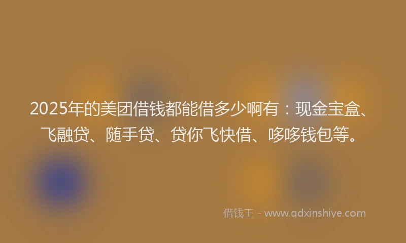2025年的美团借钱都能借多少啊有：现金宝盒、飞融贷、随手贷、贷你飞快借、哆哆钱包等。