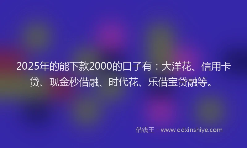 2025年的能下款2000的口子有：大洋花、信用卡贷、现金秒借融、时代花、乐借宝贷融等。