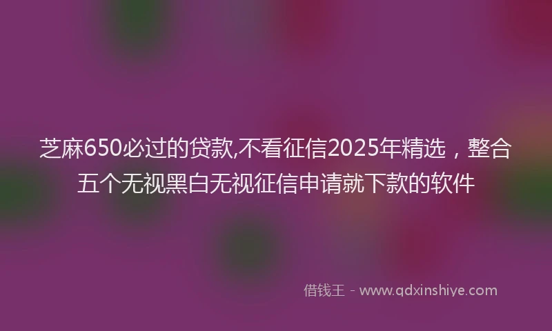 芝麻650必过的贷款,不看征信2025年精选，整合五个无视黑白无视征信申请就下款的软件
