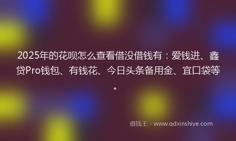 2025年的花呗怎么查看借没借钱有：爱钱进、鑫贷Pro钱包、有钱花、今日头条备用金、宜口袋等。