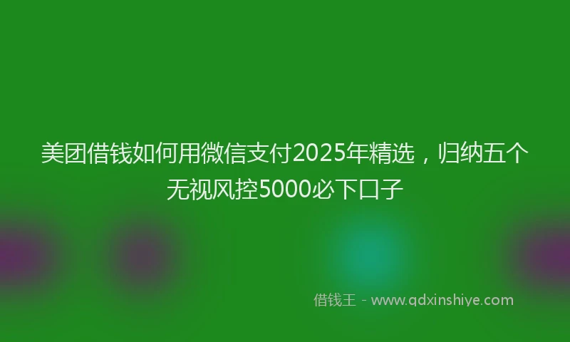 美团借钱如何用微信支付2025年精选，归纳五个无视风控5000必下口子