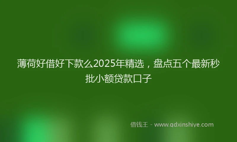 薄荷好借好下款么2025年精选，盘点五个最新秒批小额贷款口子