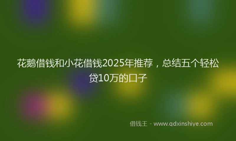 花鹅借钱和小花借钱2025年推荐，总结五个轻松贷10万的口子