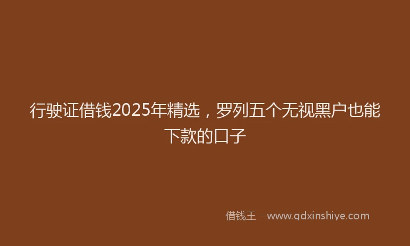 行驶证借钱2025年精选，罗列五个无视黑户也能下款的口子