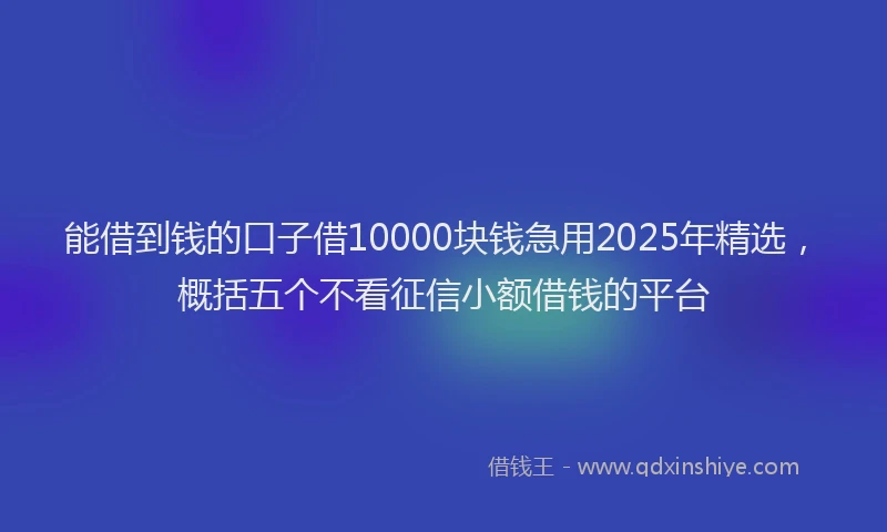 能借到钱的口子借10000块钱急用2025年精选，概括五个不看征信小额借钱的平台