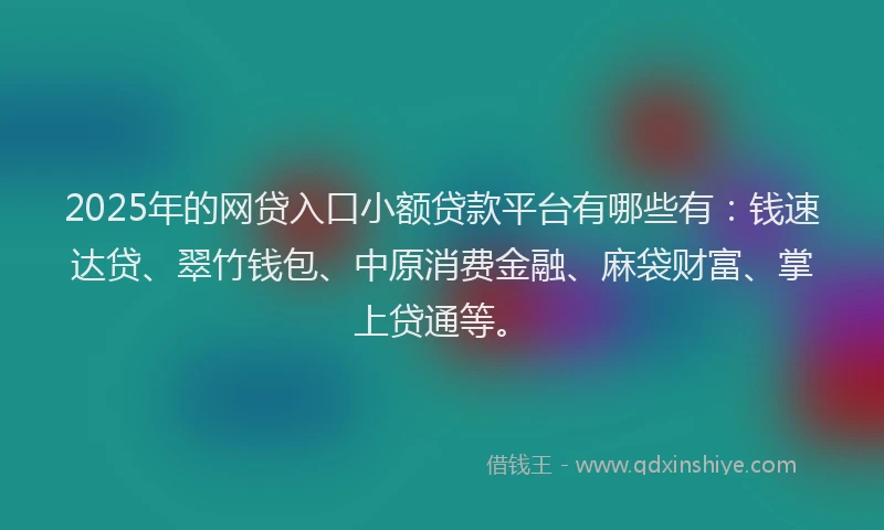 2025年的网贷入口小额贷款平台有哪些有：钱速达贷、翠竹钱包、中原消费金融、麻袋财富、掌上贷通等。