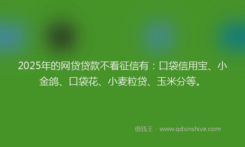 2025年的网贷贷款不看征信有：口袋信用宝、小金鸽、口袋花、小麦粒贷、玉米分等。