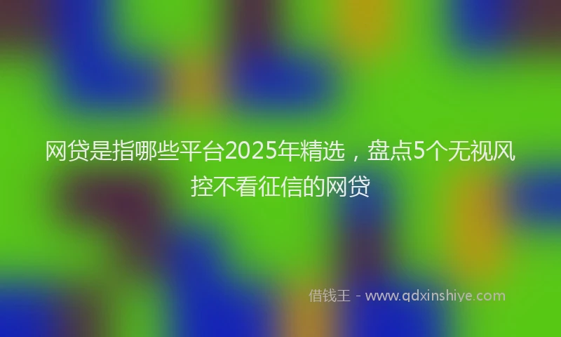 网贷是指哪些平台2025年精选，盘点5个无视风控不看征信的网贷