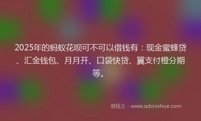 2025年的蚂蚁花呗可不可以借钱有：现金蜜蜂贷、汇金钱包、月月开、口袋快贷、翼支付橙分期等。