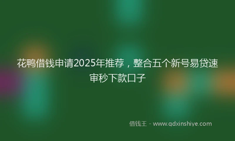 花鸭借钱申请2025年推荐，整合五个新号易贷速审秒下款口子
