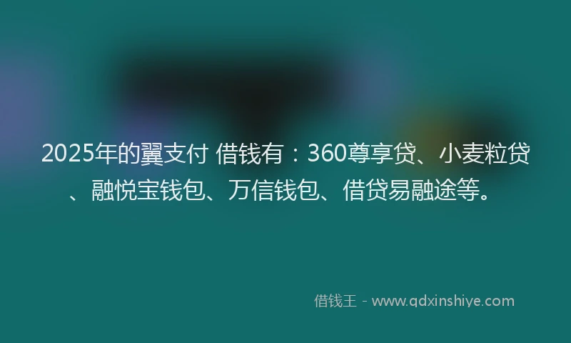 2025年的翼支付 借钱有：360尊享贷、小麦粒贷、融悦宝钱包、万信钱包、借贷易融途等。