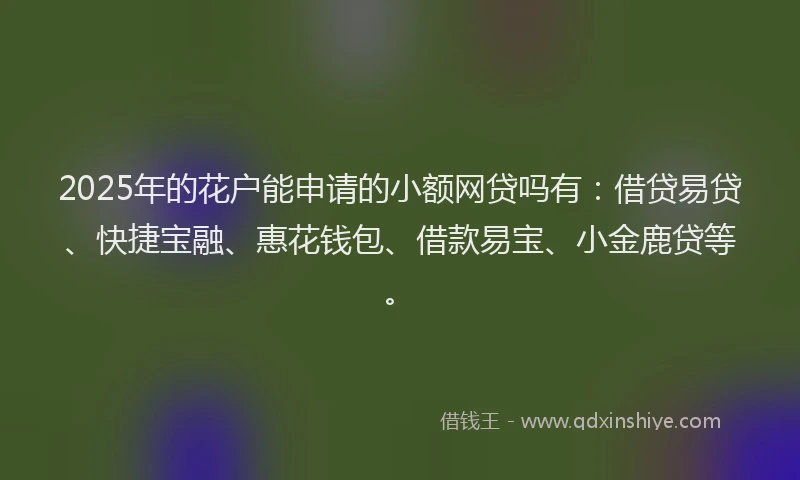 2025年的花户能申请的小额网贷吗有：借贷易贷、快捷宝融、惠花钱包、借款易宝、小金鹿贷等。