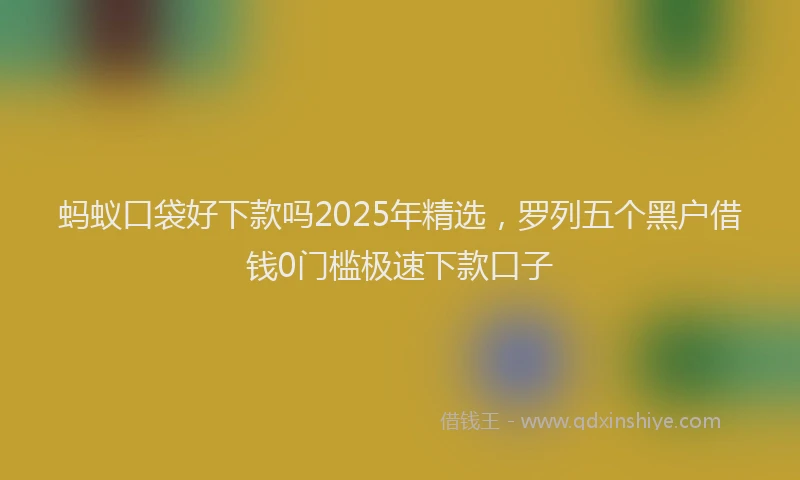 蚂蚁口袋好下款吗2025年精选，罗列五个黑户借钱0门槛极速下款口子