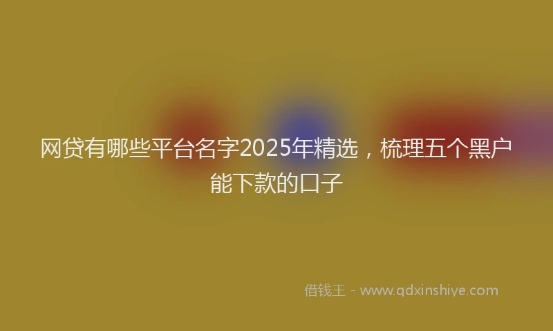 网贷有哪些平台名字2025年精选，梳理五个黑户能下款的口子