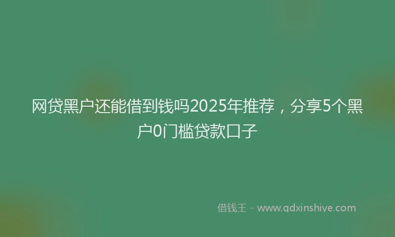 网贷黑户还能借到钱吗2025年推荐，分享5个黑户0门槛贷款口子