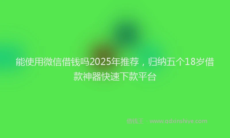 能使用微信借钱吗2025年推荐，归纳五个18岁借款神器快速下款平台