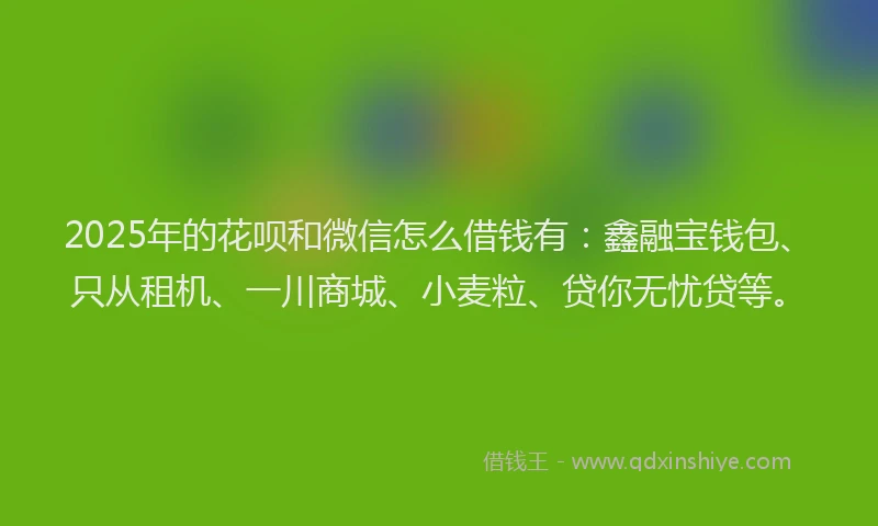 2025年的花呗和微信怎么借钱有：鑫融宝钱包、只从租机、一川商城、小麦粒、贷你无忧贷等。