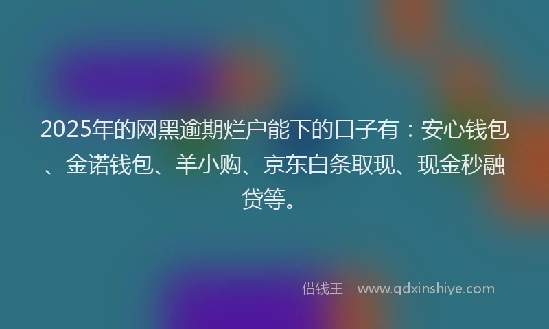 2025年的网黑逾期烂户能下的口子有：安心钱包、金诺钱包、羊小购、京东白条取现、现金秒融贷等。