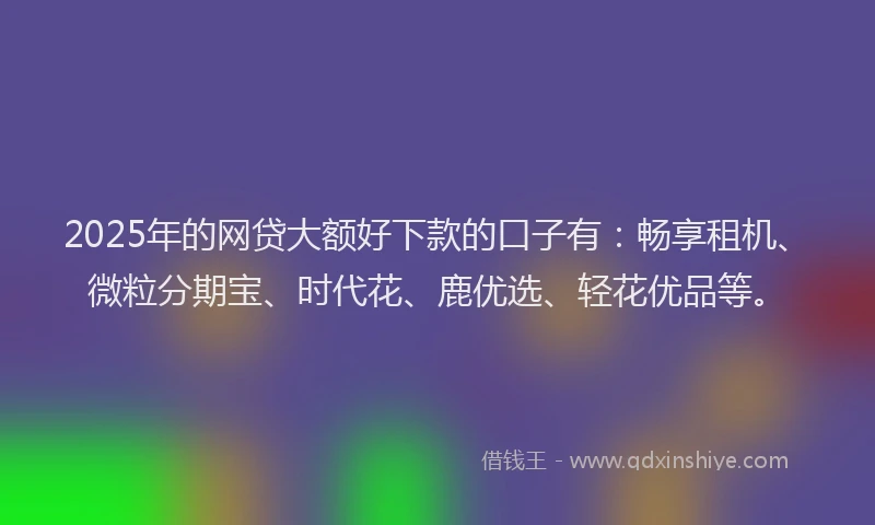 2025年的网贷大额好下款的口子有：畅享租机、微粒分期宝、时代花、鹿优选、轻花优品等。