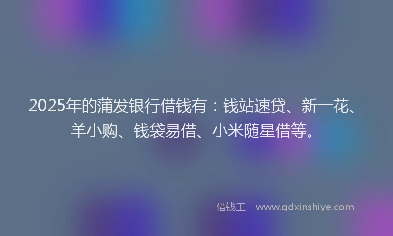 2025年的蒲发银行借钱有：钱站速贷、新一花、羊小购、钱袋易借、小米随星借等。