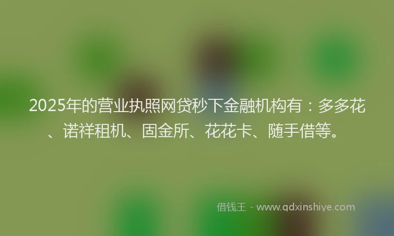 2025年的营业执照网贷秒下金融机构有：多多花、诺祥租机、固金所、花花卡、随手借等。
