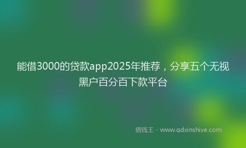 能借3000的贷款app2025年推荐，分享五个无视黑户百分百下款平台
