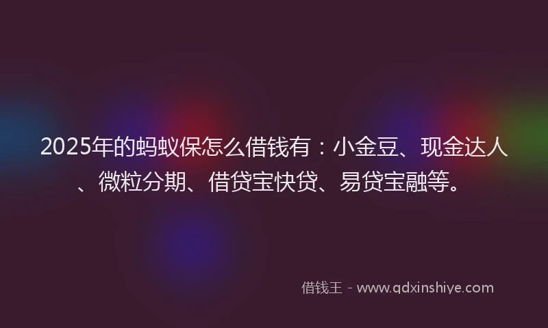 2025年的蚂蚁保怎么借钱有：小金豆、现金达人、微粒分期、借贷宝快贷、易贷宝融等。