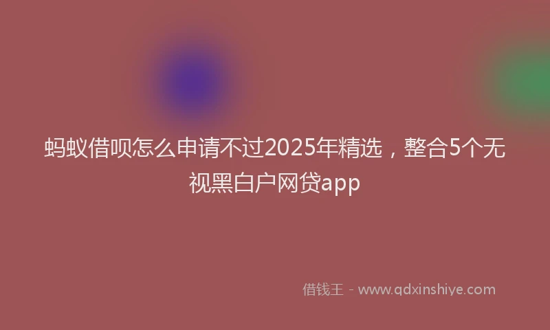 蚂蚁借呗怎么申请不过2025年精选，整合5个无视黑白户网贷app