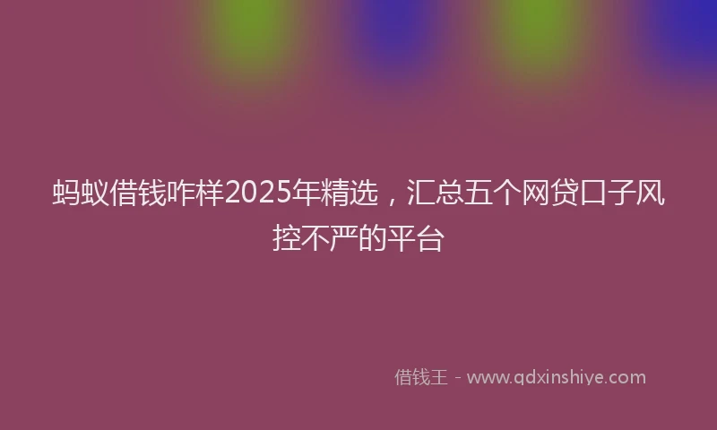 蚂蚁借钱咋样2025年精选，汇总五个网贷口子风控不严的平台