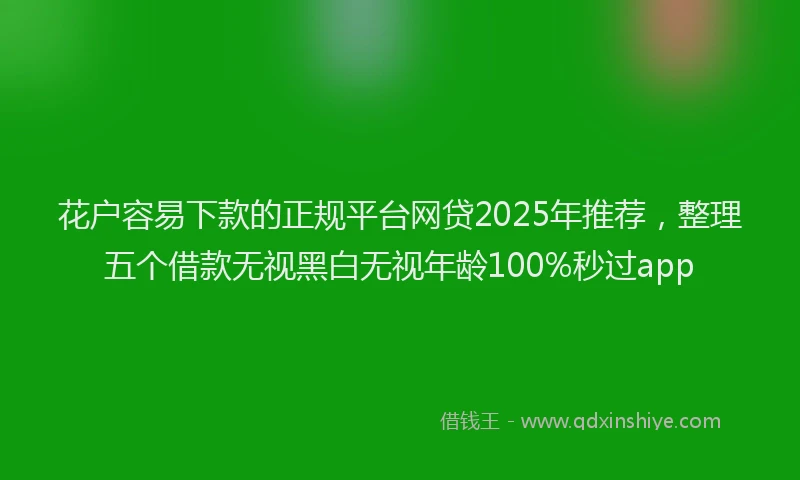 花户容易下款的正规平台网贷2025年推荐，整理五个借款无视黑白无视年龄100%秒过app