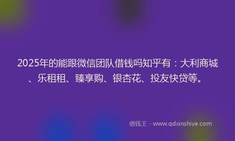 2025年的能跟微信团队借钱吗知乎有：大利商城、乐租租、臻享购、银杏花、投友快贷等。