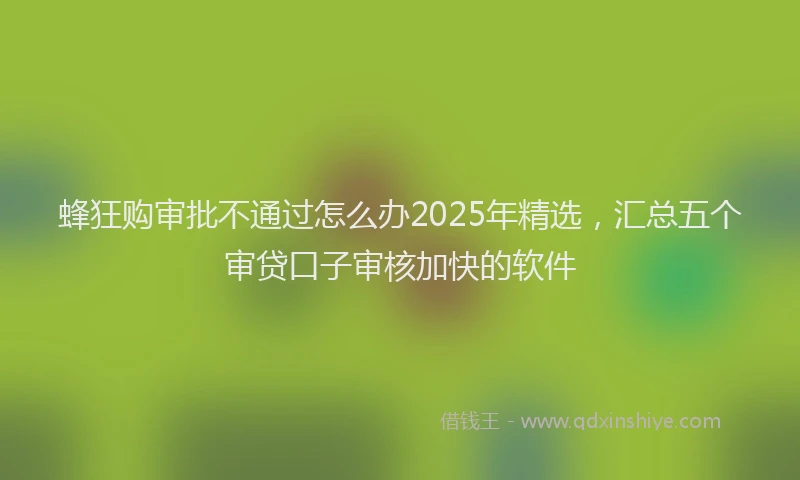 蜂狂购审批不通过怎么办2025年精选，汇总五个审贷口子审核加快的软件