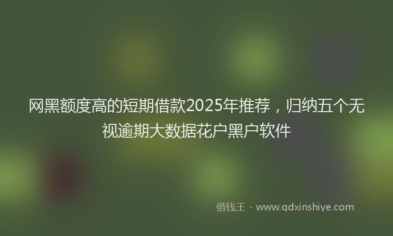 网黑额度高的短期借款2025年推荐，归纳五个无视逾期大数据花户黑户软件