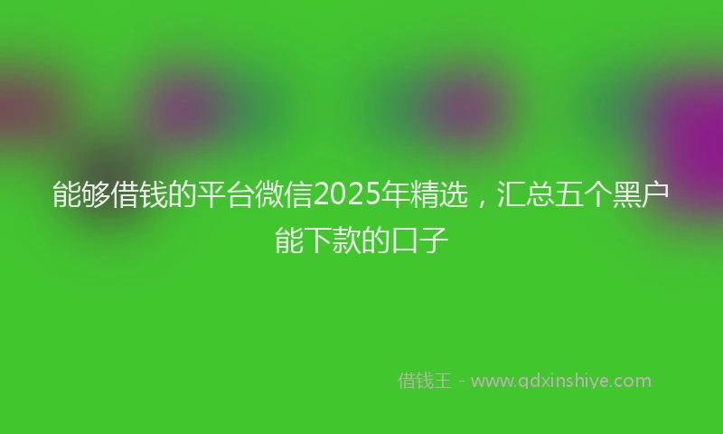 能够借钱的平台微信2025年精选，汇总五个黑户能下款的口子