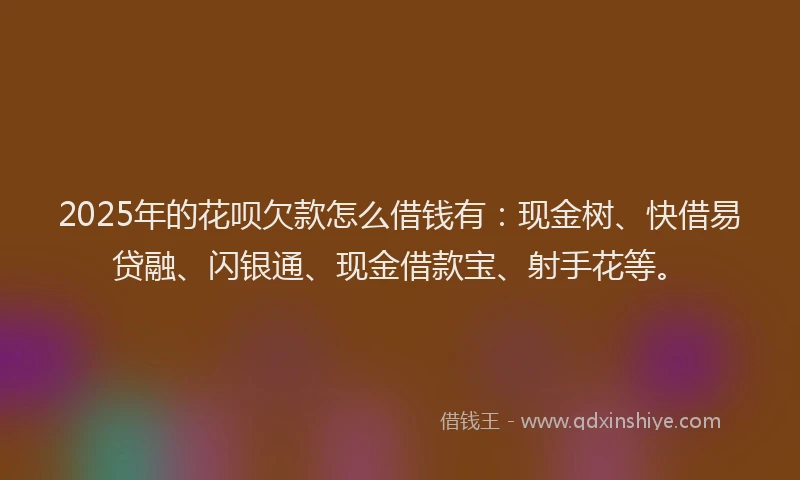 2025年的花呗欠款怎么借钱有：现金树、快借易贷融、闪银通、现金借款宝、射手花等。