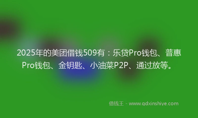 2025年的美团借钱509有：乐贷Pro钱包、普惠Pro钱包、金钥匙、小油菜P2P、通过放等。