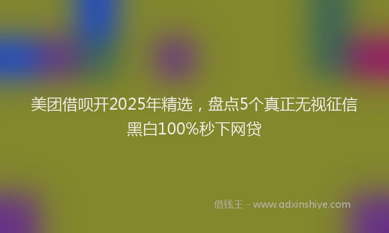 美团借呗开2025年精选，盘点5个真正无视征信黑白100%秒下网贷