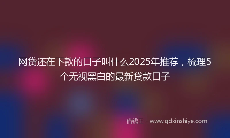 网贷还在下款的口子叫什么2025年推荐，梳理5个无视黑白的最新贷款口子