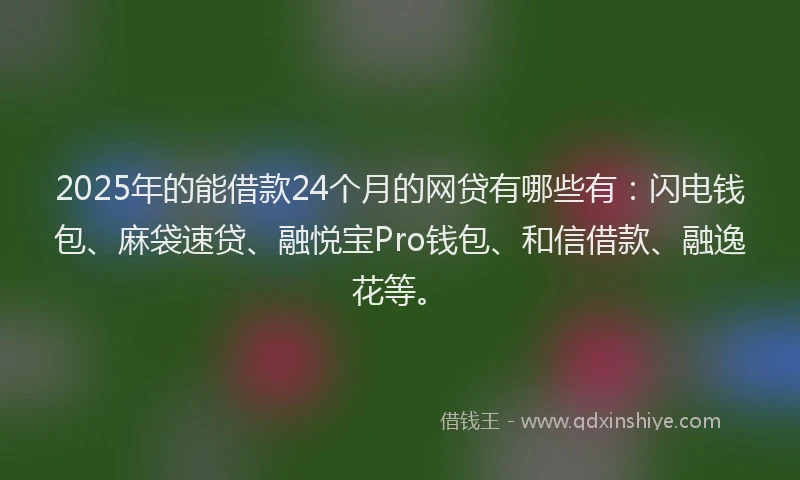 2025年的能借款24个月的网贷有哪些有：闪电钱包、麻袋速贷、融悦宝Pro钱包、和信借款、融逸花等。