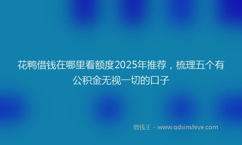 花鸭借钱在哪里看额度2025年推荐，梳理五个有公积金无视一切的口子