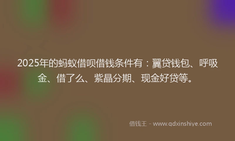 2025年的蚂蚁借呗借钱条件有：翼贷钱包、呼吸金、借了么、紫晶分期、现金好贷等。