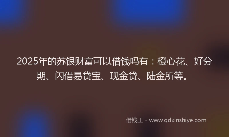 2025年的苏银财富可以借钱吗有：橙心花、好分期、闪借易贷宝、现金贷、陆金所等。