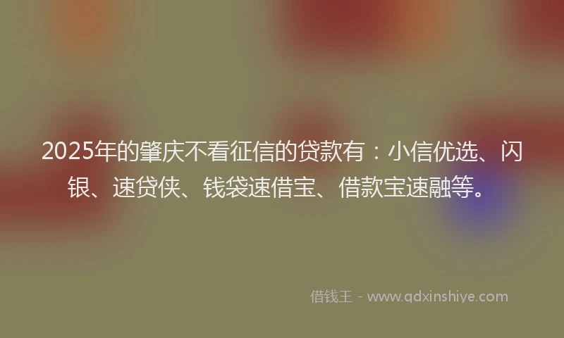 2025年的肇庆不看征信的贷款有：小信优选、闪银、速贷侠、钱袋速借宝、借款宝速融等。