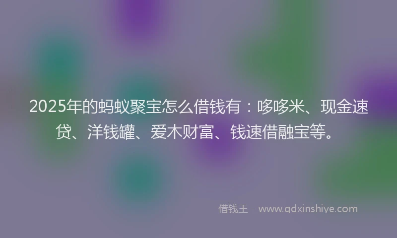 2025年的蚂蚁聚宝怎么借钱有：哆哆米、现金速贷、洋钱罐、爱木财富、钱速借融宝等。